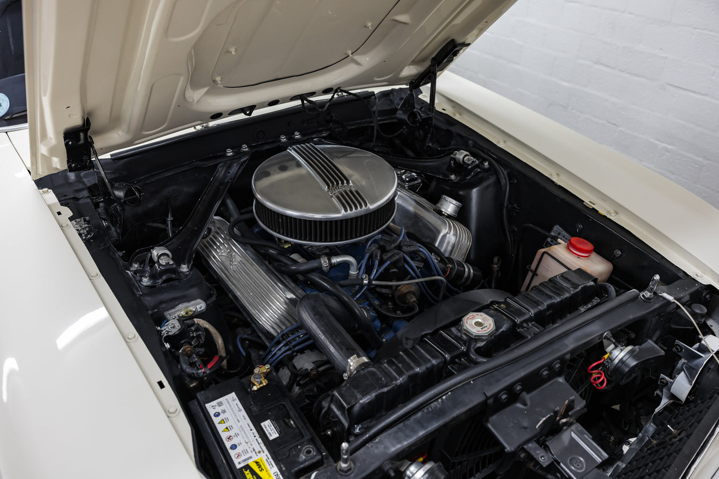 1969 Ford Mustang - S Code 390 Big Block - 56 245 miles